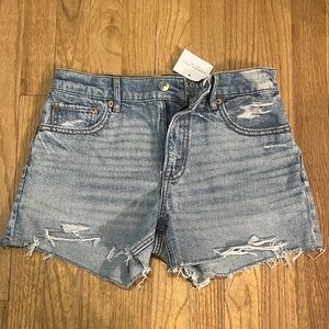 American Eagle Outfitters Distressed Light Blue Jean Shorts